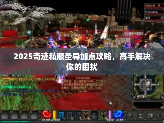 2025奇迹私服圣导加点攻略，高手解决你的困扰