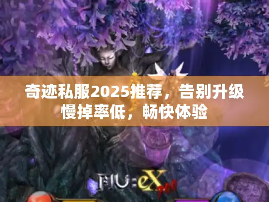 奇迹私服2025推荐，告别升级慢掉率低，畅快体验