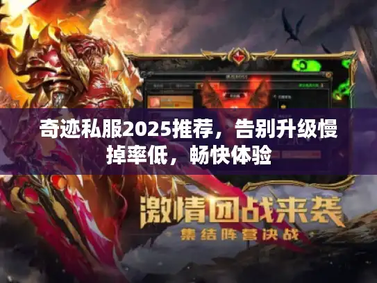 奇迹私服2025推荐，告别升级慢掉率低，畅快体验