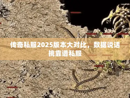 传奇私服2025版本大对比，数据说话挑靠谱私服