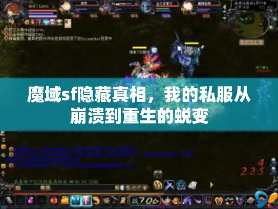 魔域sf隐藏真相，我的私服从崩溃到重生的蜕变