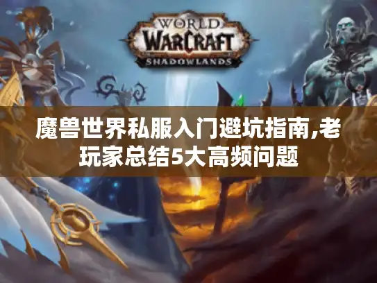 魔兽世界私服入门避坑指南,老玩家总结5大高频问题