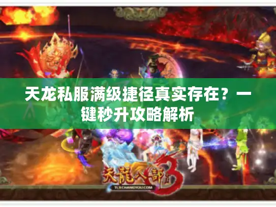 天龙私服满级捷径真实存在？一键秒升攻略解析