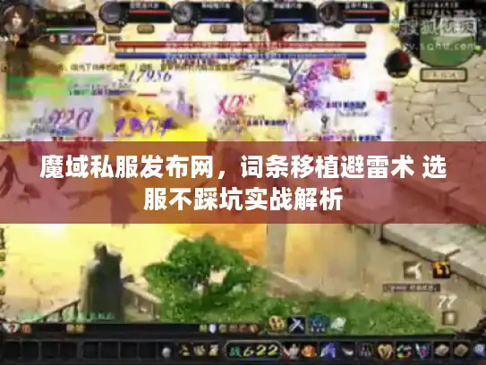 魔域私服发布网，词条移植避雷术 选服不踩坑实战解析
