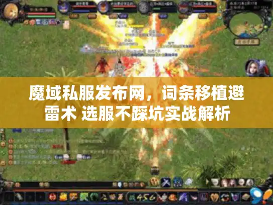 魔域私服发布网，词条移植避雷术 选服不踩坑实战解析