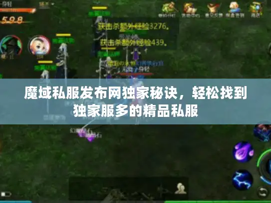魔域私服发布网独家秘诀，轻松找到独家服多的精品私服