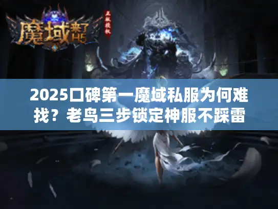 2025口碑第一魔域私服为何难找？老鸟三步锁定神服不踩雷