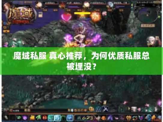 魔域私服 真心推荐，为何优质私服总被埋没？