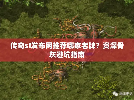 传奇sf发布网推荐哪家老牌？资深骨灰避坑指南