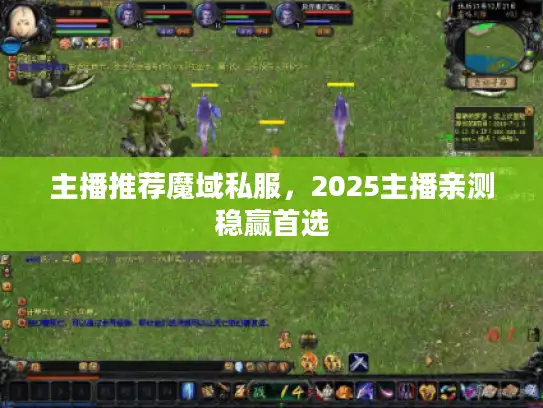 主播推荐魔域私服，2025主播亲测稳赢首选