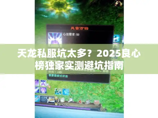 天龙私服坑太多？2025良心榜独家实测避坑指南