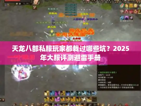 天龙八部私服玩家都栽过哪些坑？2025年大服评测避雷手册