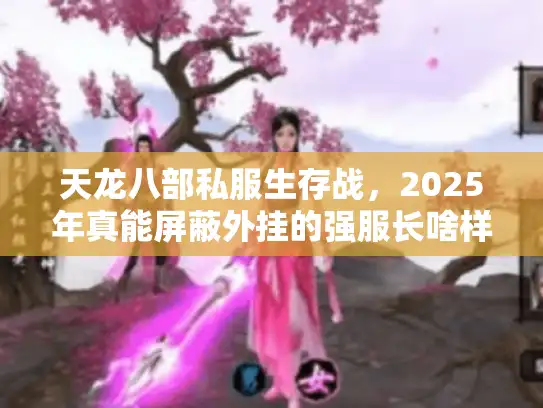 天龙八部私服生存战，2025年真能屏蔽外挂的强服长啥样？