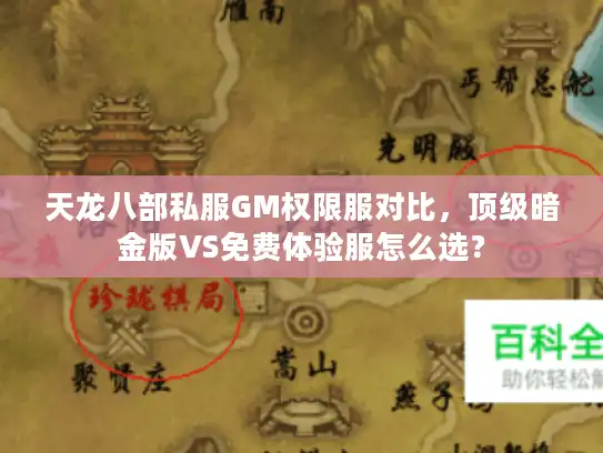 天龙八部私服GM权限服对比，顶级暗金版VS免费体验服怎么选？