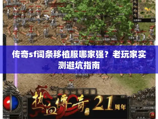 传奇sf词条移植服哪家强?老玩家实测避坑指南 传奇sf词条移植服哪家强?老玩家实测避坑指南