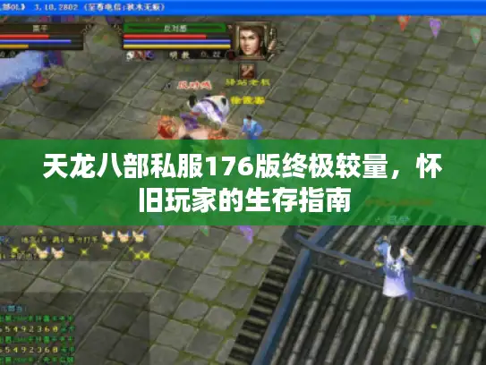 天龙八部私服176版终极较量，怀旧玩家的生存指南
