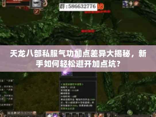 天龙八部私服气功加点差异大揭秘,新手如何轻松避开加点坑? 天龙八部私服气功加点差异大揭秘,新手如何轻松避开加点坑?
