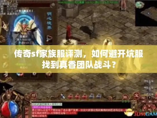 传奇sf家族服评测，如何避开坑服找到真香团队战斗？