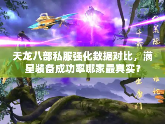 天龙八部私服强化数据对比,满星装备成功率哪家最真实? 天龙八部私服强化数据对比,满星装备成功率哪家最真实?
