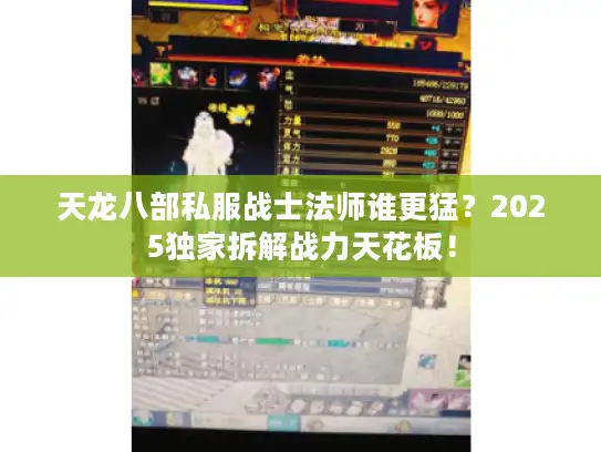 天龙八部私服战士法师谁更猛？2025独家拆解战力天花板！