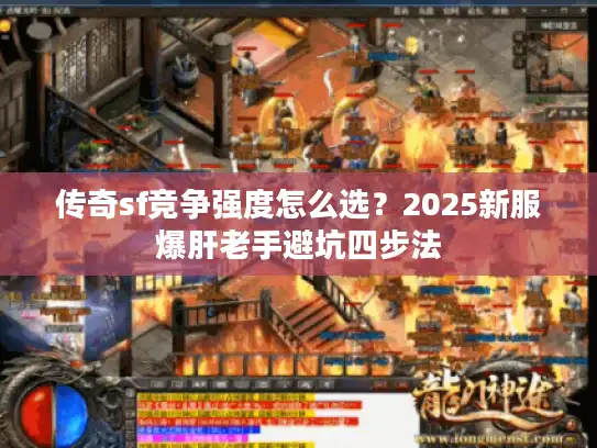 传奇sf竞争强度怎么选？2025新服爆肝老手避坑四步法