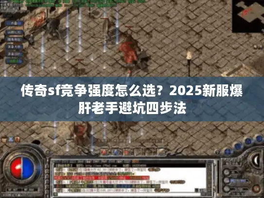 传奇sf竞争强度怎么选？2025新服爆肝老手避坑四步法