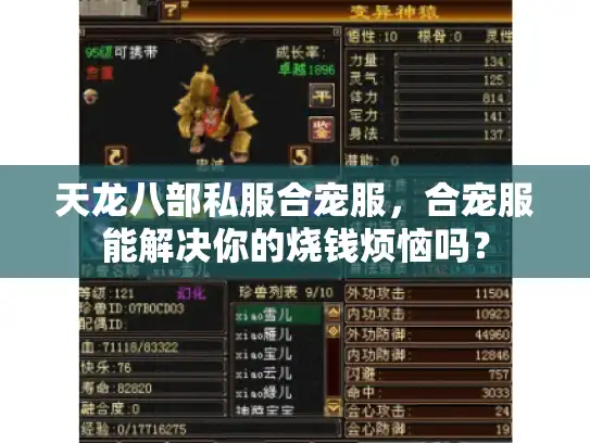 天龙八部私服合宠服，合宠服能解决你的烧钱烦恼吗？