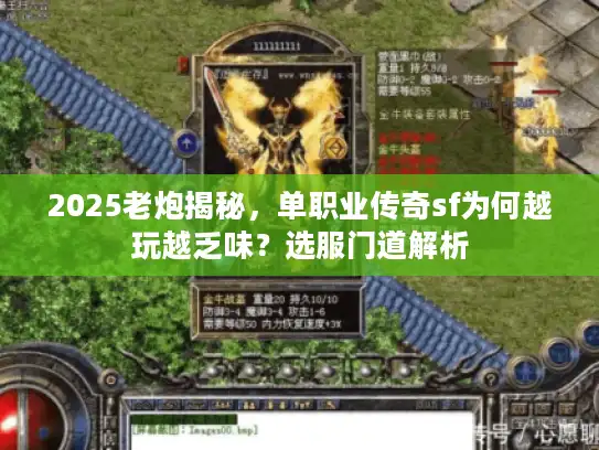2025老炮揭秘，单职业传奇sf为何越玩越乏味？选服门道解析