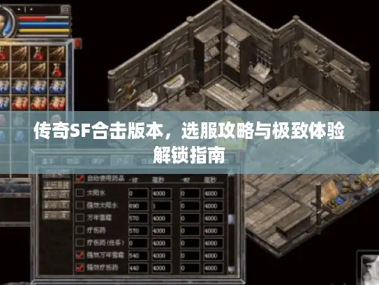 传奇SF合击版本，选服攻略与极致体验解锁指南