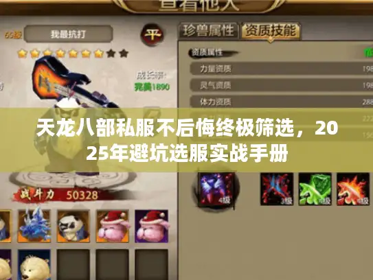 天龙八部私服不后悔终极筛选，2025年避坑选服实战手册