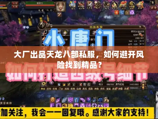 大厂出品天龙八部私服,如何避开风险找到精品? 大厂出品天龙八部私服,如何避开风险找到精品?