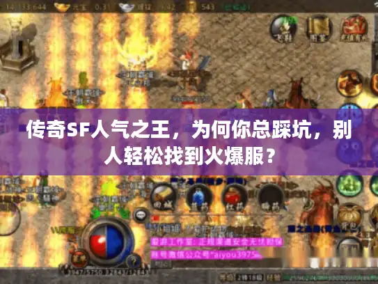 传奇SF人气之王，为何你总踩坑，别人轻松找到火爆服？