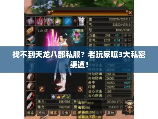 找不到天龙八部私服?老玩家曝3大私密渠道! 找不到天龙八部私服?老玩家曝3大私密渠道!