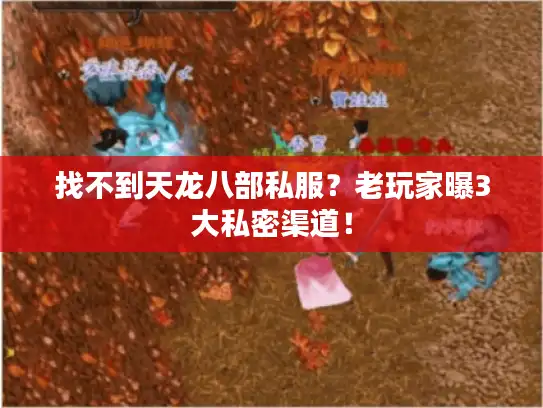 找不到天龙八部私服?老玩家曝3大私密渠道! 找不到天龙八部私服?老玩家曝3大私密渠道!
