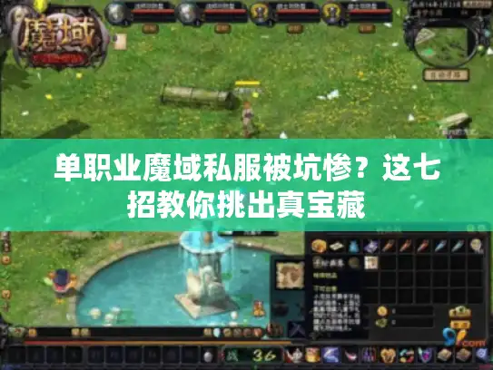 单职业魔域私服被坑惨？这七招教你挑出真宝藏