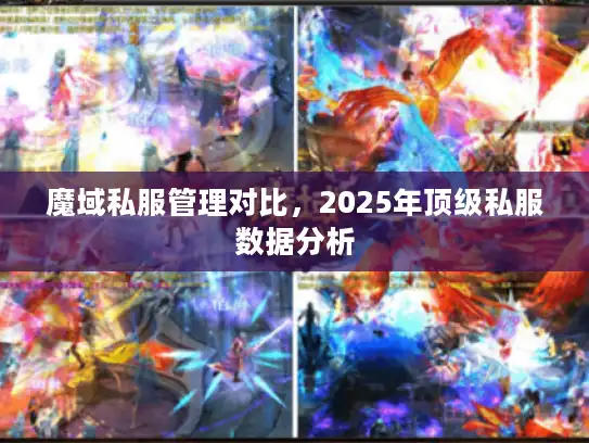 魔域私服管理对比，2025年顶级私服数据分析