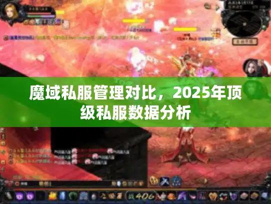 魔域私服管理对比，2025年顶级私服数据分析