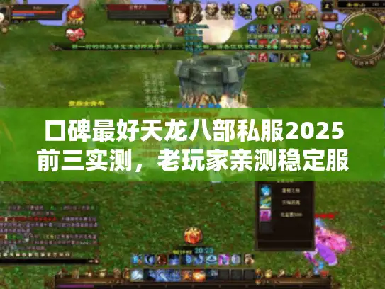口碑最好天龙八部私服2025前三实测，老玩家亲测稳定服清单