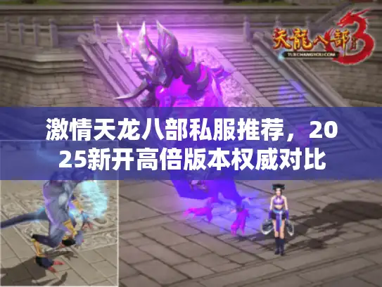 激情天龙八部私服推荐，2025新开高倍版本权威对比