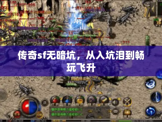 传奇sf无暗坑,从入坑泪到畅玩飞升 传奇sf无暗坑,从入坑泪到畅玩飞升