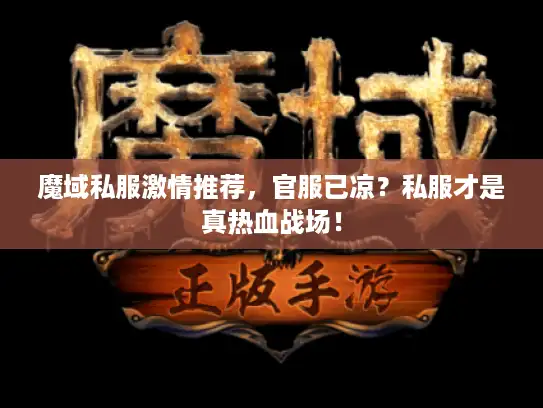 魔域私服激情推荐，官服已凉？私服才是真热血战场！