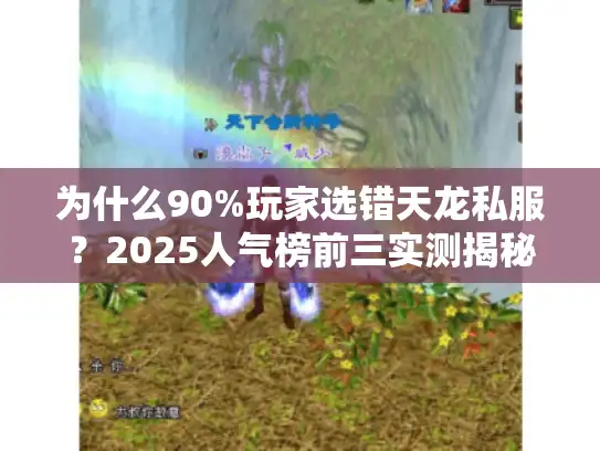 为什么90%玩家选错天龙私服？2025人气榜前三实测揭秘