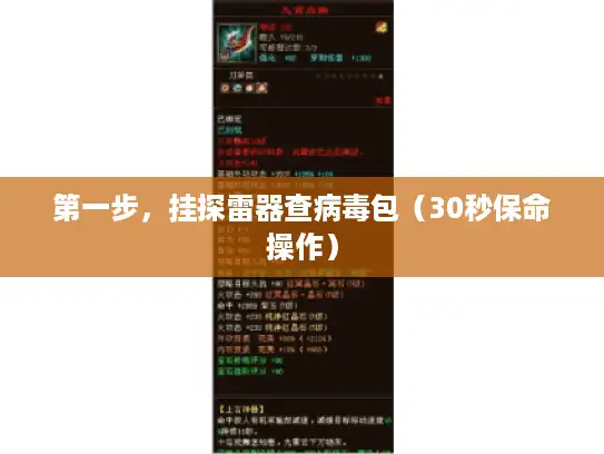 第一步,挂探雷器查病毒包(30秒保命操作) 第一步,挂探雷器查病毒包(30秒保命操作)