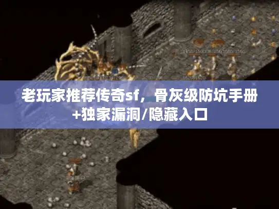 老玩家推荐传奇sf,骨灰级防坑手册+独家漏洞/隐藏入口 老玩家推荐传奇sf,骨灰级防坑手册+独家漏洞/隐藏入口