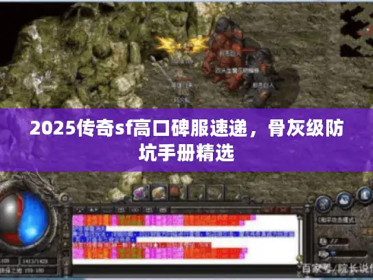 2025传奇sf高口碑服速递,骨灰级防坑手册精选 2025传奇sf高口碑服速递,骨灰级防坑手册精选