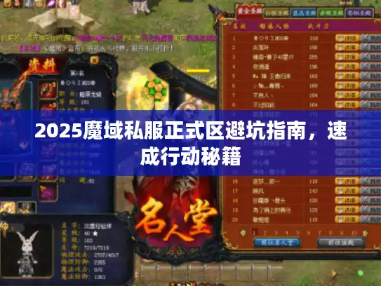 2025魔域私服正式区避坑指南，速成行动秘籍