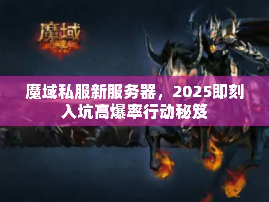 魔域私服新服务器，2025即刻入坑高爆率行动秘笈