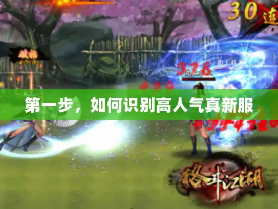 第一步，如何识别高人气真新服