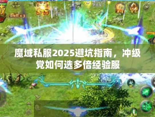 魔域私服2025避坑指南，冲级党如何选多倍经验服