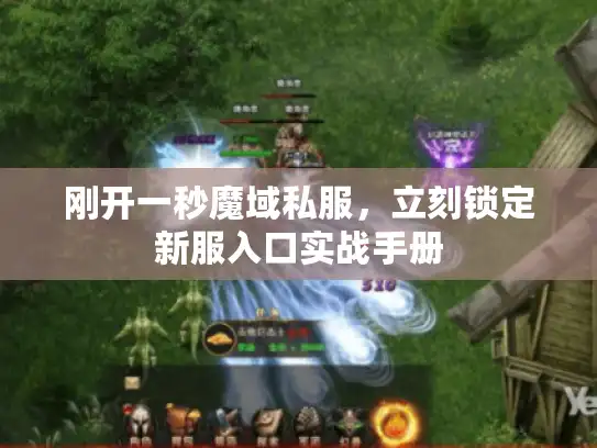 刚开一秒魔域私服，立刻锁定新服入口实战手册